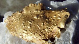 Gold Mining