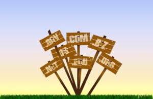 Domain Name Services