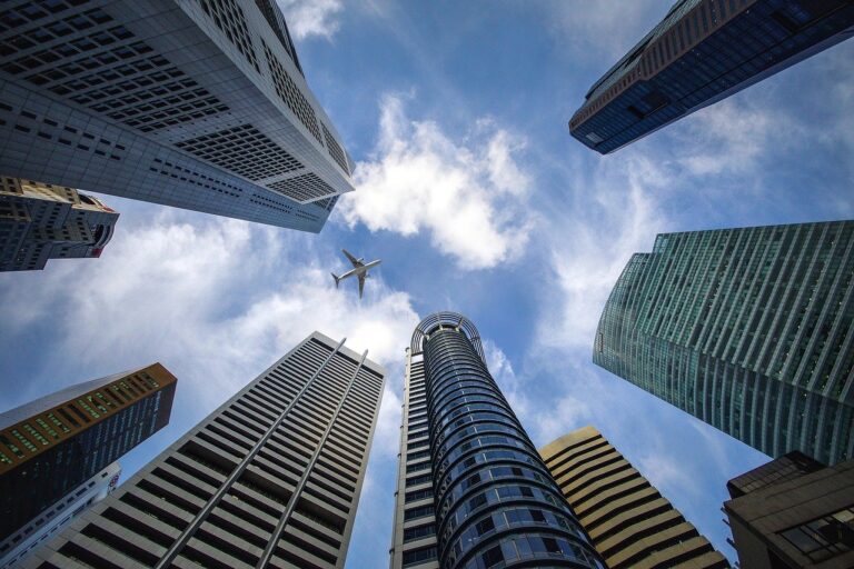 investment trust