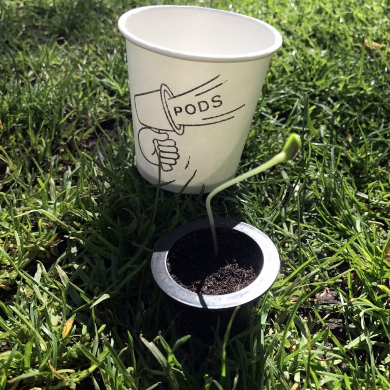 Biome Bioplastics