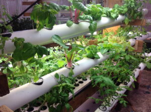 Pharm2Farm