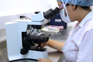 lab