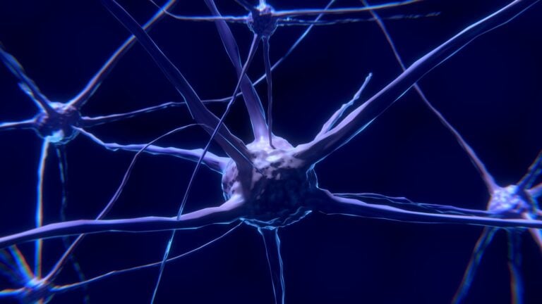 Cambridge Cognition