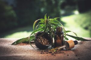 Sativa Wellness Group Share Price