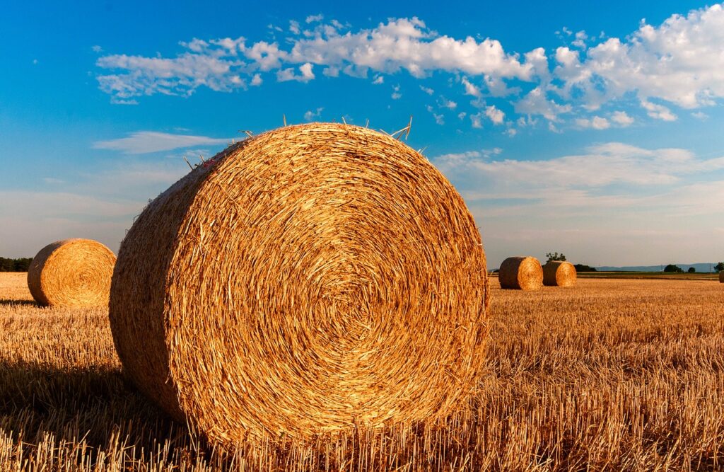 Agriculture
