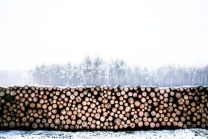Forestry
