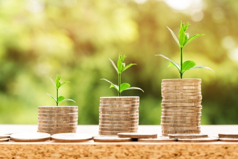 Investment Trust