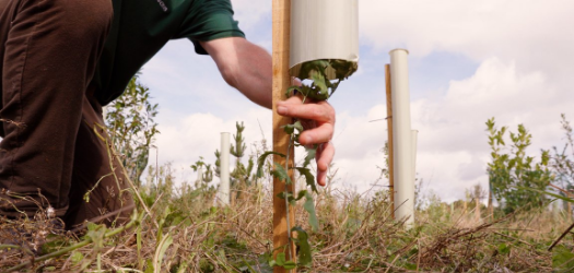 Biome Technologies