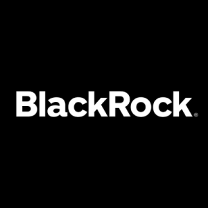 BlackRock Income and Growth Investment Trust (LON:BRIG)