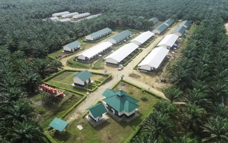 M. P. Evans Group