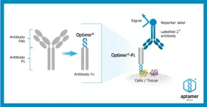 Aptamer Group