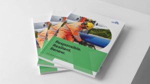 Renew Holdings plc